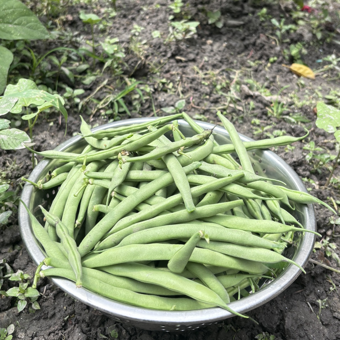 Laxmi Achar Udhyog